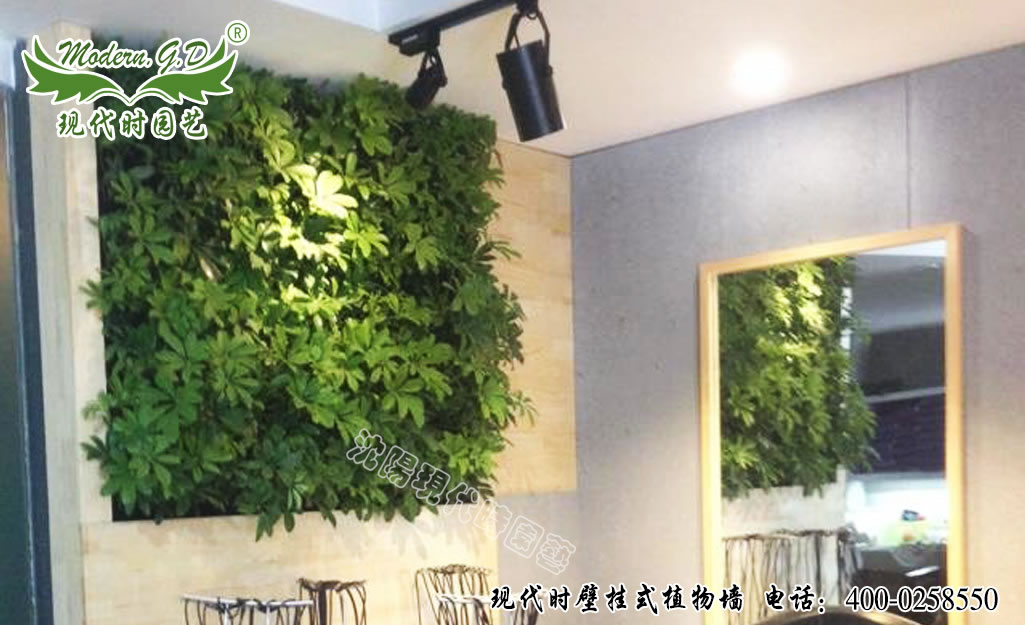 壁画式植物墙