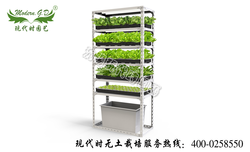 智能蔬菜种植机—简易版 型号：N-32
