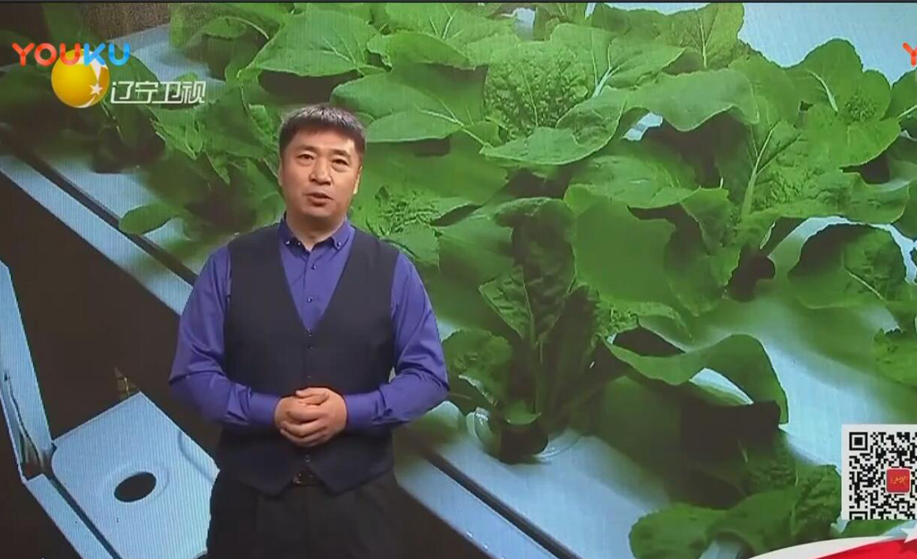 辽宁卫视黑土地节目采访——智能蔬菜种植机